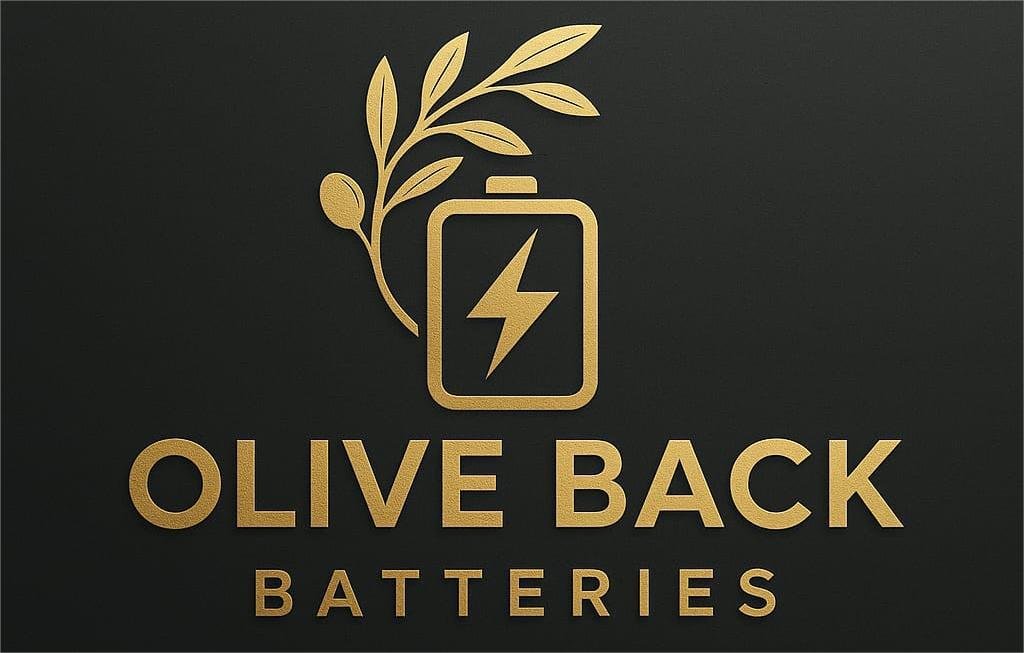 zeytinhasatbataryasi.com